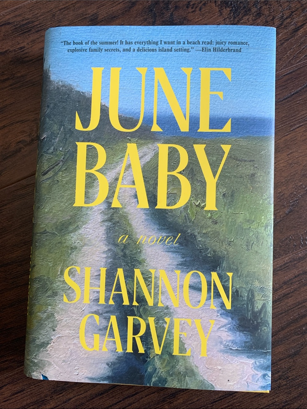 June Baby - Hardcover Book by Shannon Garvey